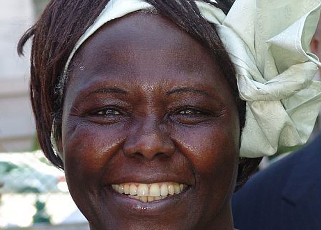 Wangari Maathai
